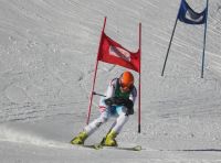 Landes-Ski-2015 34 Dietmar Pühringer